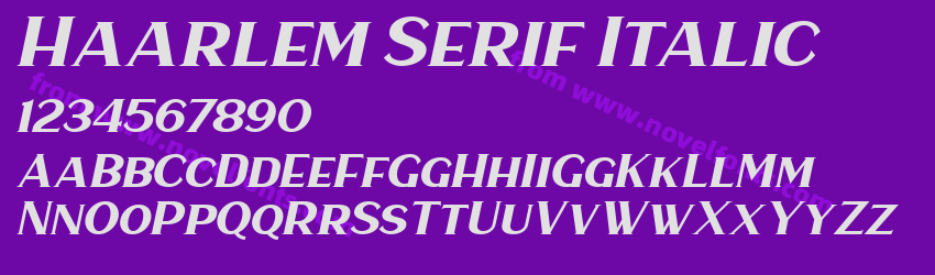 Haarlem Serif ItalicPreview Haarlem Serif ItalicPreview