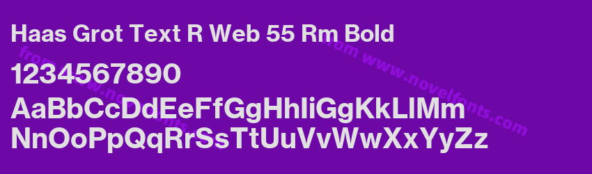 Haas Grot Text R Web 55 Rm BoldPreview Haas Grot Text R Web 55 Rm BoldPreview