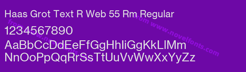 Haas Grot Text R Web 55 Rm RegularPreview Haas Grot Text R Web 55 Rm RegularPreview