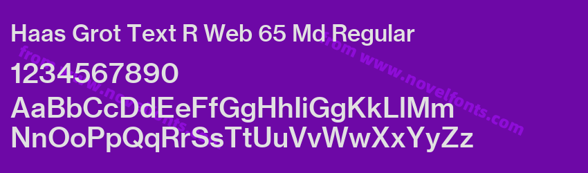 Haas Grot Text R Web 65 Md RegularPreview Haas Grot Text R Web 65 Md RegularPreview