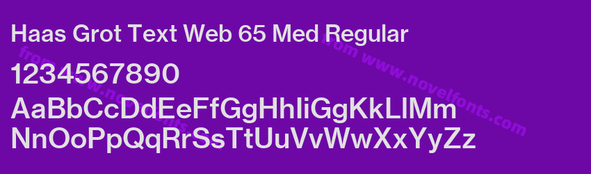Haas Grot Text Web 65 Med RegularPreview Haas Grot Text Web 65 Med RegularPreview