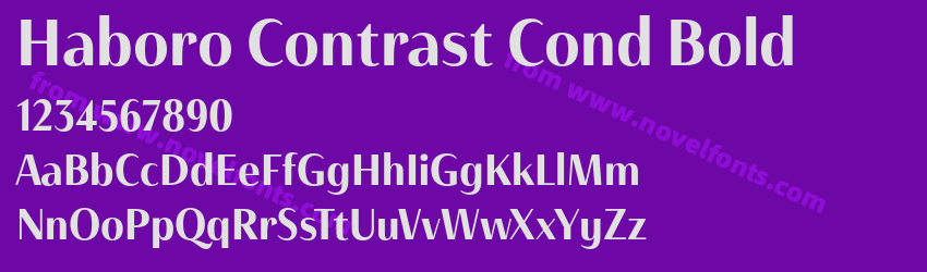 Haboro Contrast Cond BoldPreview Haboro Contrast Cond BoldPreview