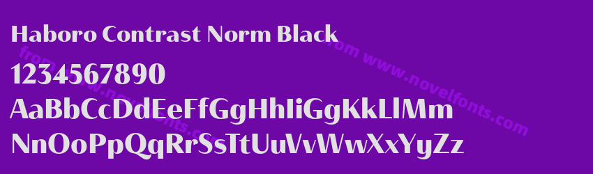 Haboro Contrast Norm BlackPreview