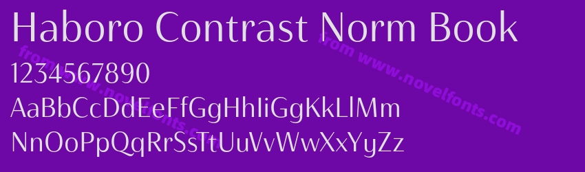 Haboro Contrast Norm BookPreview Haboro Contrast Norm BookPreview