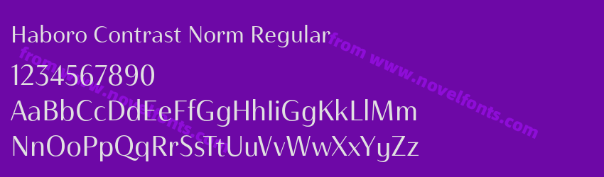 Haboro Contrast Norm RegularPreview Haboro Contrast Norm RegularPreview