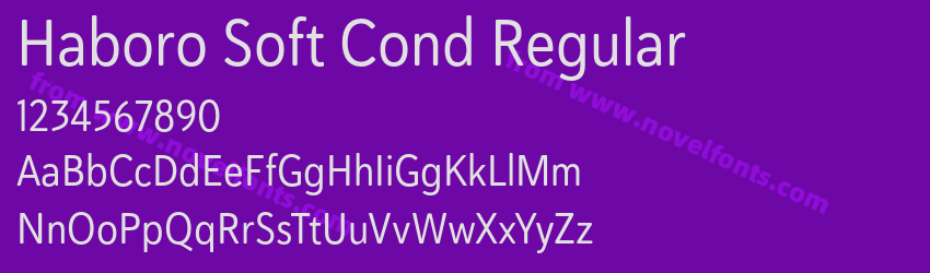 Haboro Soft Cond RegularPreview