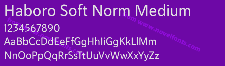 Haboro Soft Norm MediumPreview