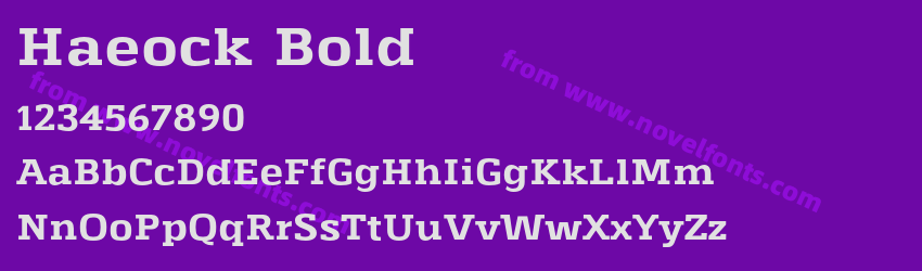 Haeock BoldPreview Haeock BoldPreview