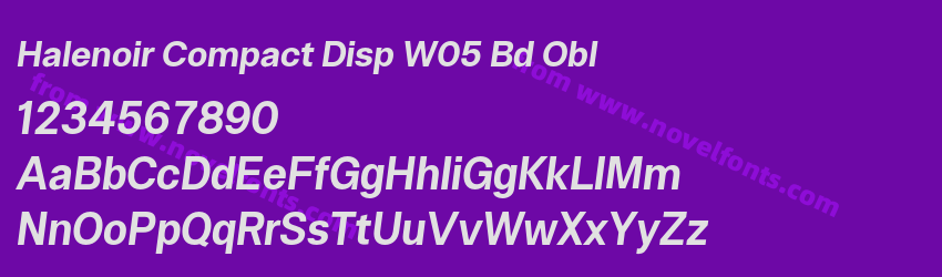 Halenoir Compact Disp W05 Bd OblPreview Halenoir Compact Disp W05 Bd OblPreview
