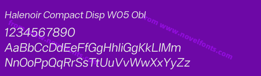 Halenoir Compact Disp W05 OblPreview
