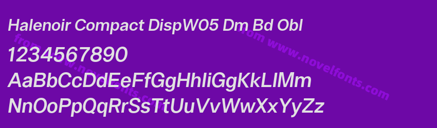 Halenoir Compact DispW05 Dm Bd OblPreview