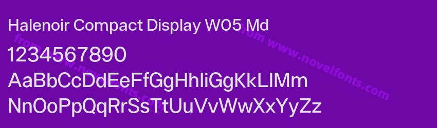 Halenoir Compact Display W05 MdPreview Halenoir Compact Display W05 MdPreview