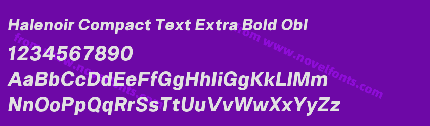 Halenoir Compact Text Extra Bold OblPreview Halenoir Compact Text Extra Bold OblPreview