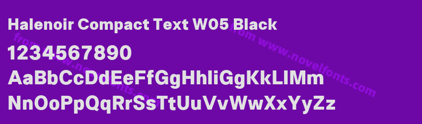 Halenoir Compact Text W05 BlackPreview Halenoir Compact Text W05 BlackPreview