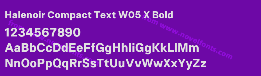 Halenoir Compact Text W05 X BoldPreview Halenoir Compact Text W05 X BoldPreview