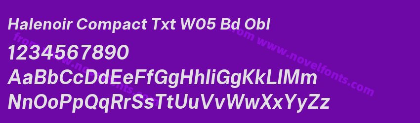 Halenoir Compact Txt W05 Bd OblPreview Halenoir Compact Txt W05 Bd OblPreview