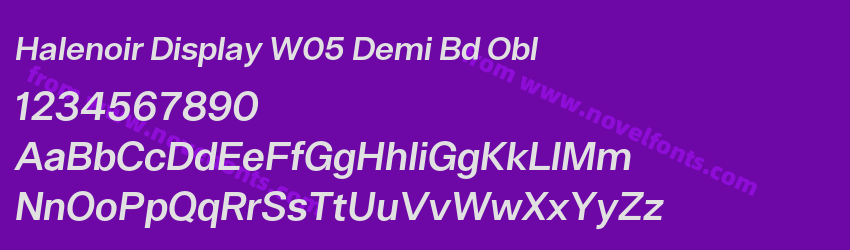 Halenoir Display W05 Demi Bd OblPreview Halenoir Display W05 Demi Bd OblPreview