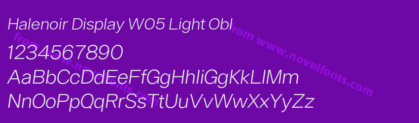 Halenoir Display W05 Light OblPreview