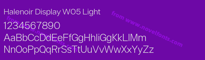 Halenoir Display W05 LightPreview Halenoir Display W05 LightPreview