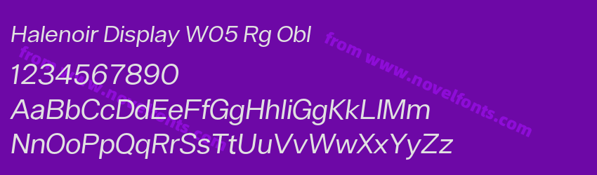 Halenoir Display W05 Rg OblPreview Halenoir Display W05 Rg OblPreview