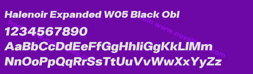 Halenoir Expanded W05 Black OblPreview Halenoir Expanded W05 Black OblPreview