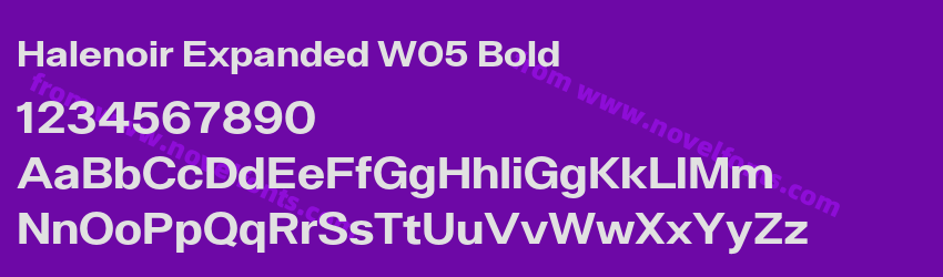 Halenoir Expanded W05 BoldPreview