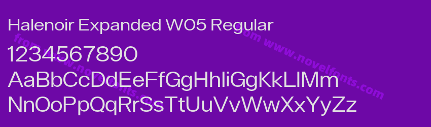 Halenoir Expanded W05 RegularPreview Halenoir Expanded W05 RegularPreview