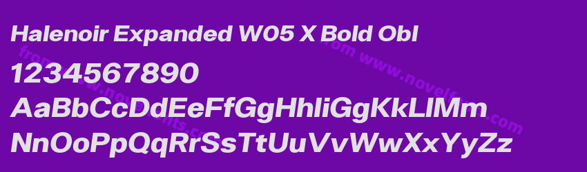 Halenoir Expanded W05 X Bold OblPreview Halenoir Expanded W05 X Bold OblPreview