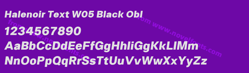 Halenoir Text W05 Black OblPreview