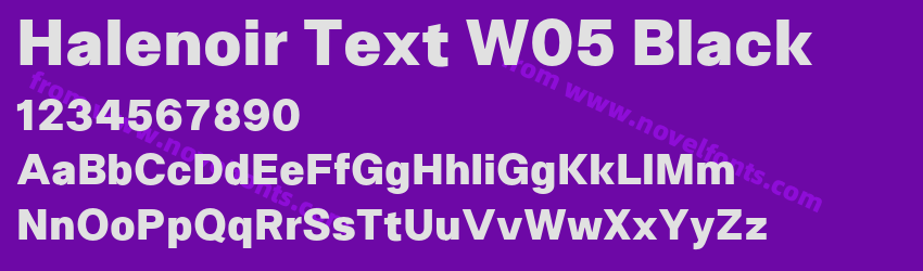 Halenoir Text W05 BlackPreview Halenoir Text W05 BlackPreview