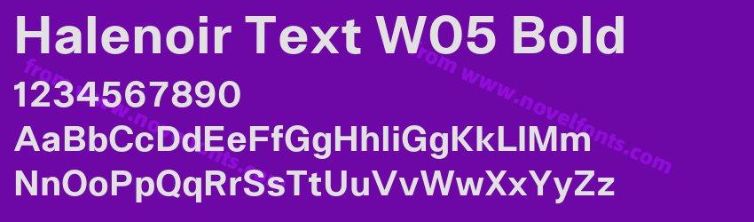 Halenoir Text W05 BoldPreview