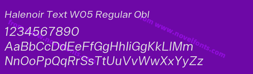 Halenoir Text W05 Regular OblPreview Halenoir Text W05 Regular OblPreview