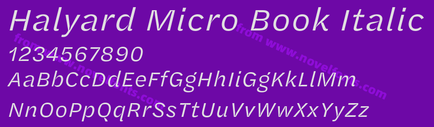 Halyard Micro Book ItalicPreview Halyard Micro Book ItalicPreview