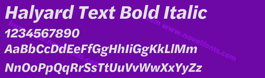 Halyard Text Bold ItalicPreview Halyard Text Bold ItalicPreview