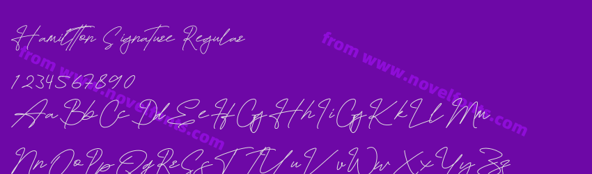 Hamiltton Signature RegularPreview Hamiltton Signature RegularPreview