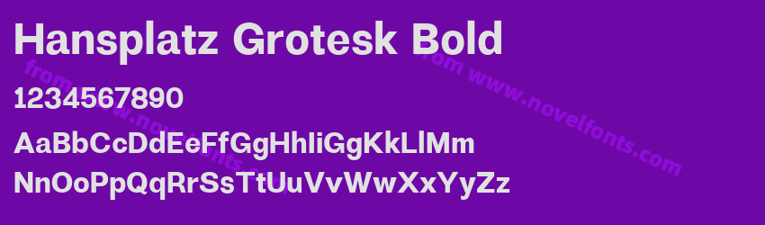 Hansplatz Grotesk BoldPreview Hansplatz Grotesk BoldPreview