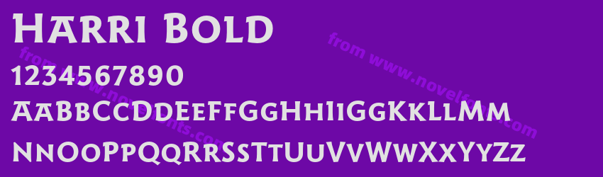 Harri BoldPreview Harri BoldPreview