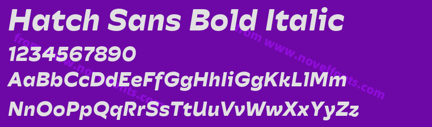 Hatch Sans Bold ItalicPreview Hatch Sans Bold ItalicPreview