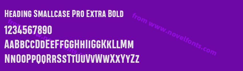 Heading Smallcase Pro Extra BoldPreview Heading Smallcase Pro Extra BoldPreview