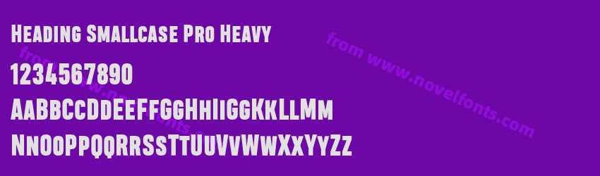Heading Smallcase Pro HeavyPreview Heading Smallcase Pro HeavyPreview