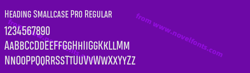 Heading Smallcase Pro RegularPreview Heading Smallcase Pro RegularPreview