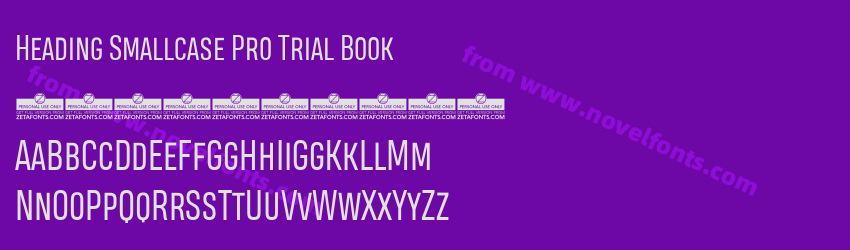 Heading Smallcase Pro Trial BookPreview Heading Smallcase Pro Trial BookPreview