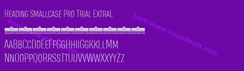 Heading Smallcase Pro Trial ExtraLPreview Heading Smallcase Pro Trial ExtraLPreview