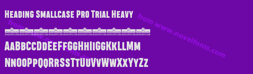 Heading Smallcase Pro Trial HeavyPreview Heading Smallcase Pro Trial HeavyPreview