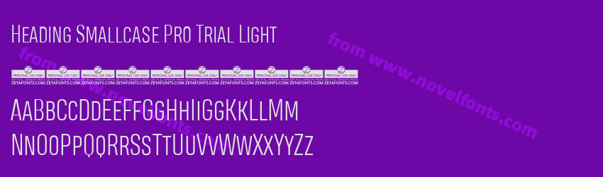 Heading Smallcase Pro Trial LightPreview Heading Smallcase Pro Trial LightPreview