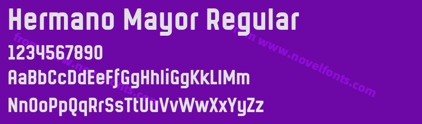 Hermano Mayor RegularPreview Hermano Mayor RegularPreview