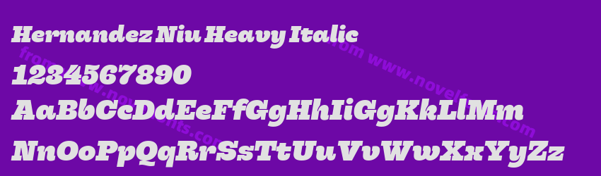 Hernandez Niu Heavy ItalicPreview Hernandez Niu Heavy ItalicPreview