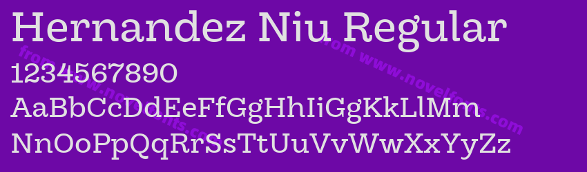 Hernandez Niu RegularPreview Hernandez Niu RegularPreview