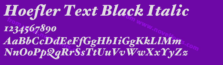 Hoefler Text Black ItalicPreview Hoefler Text Black ItalicPreview