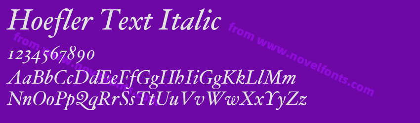 Hoefler Text ItalicPreview Hoefler Text ItalicPreview